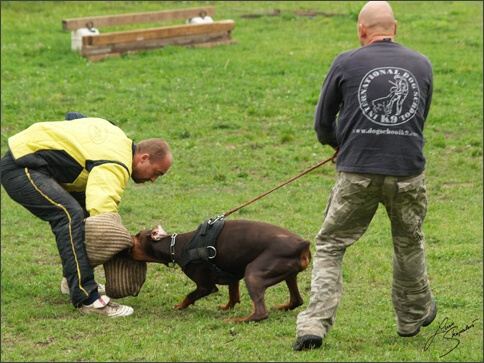 Training in Prague 10/2007